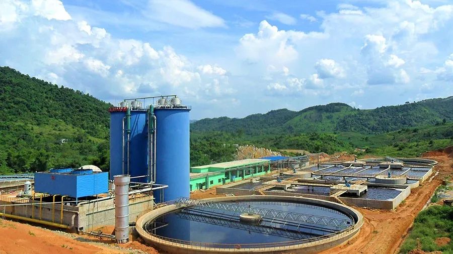 5c1c63d21f392.jpg 4.jpg